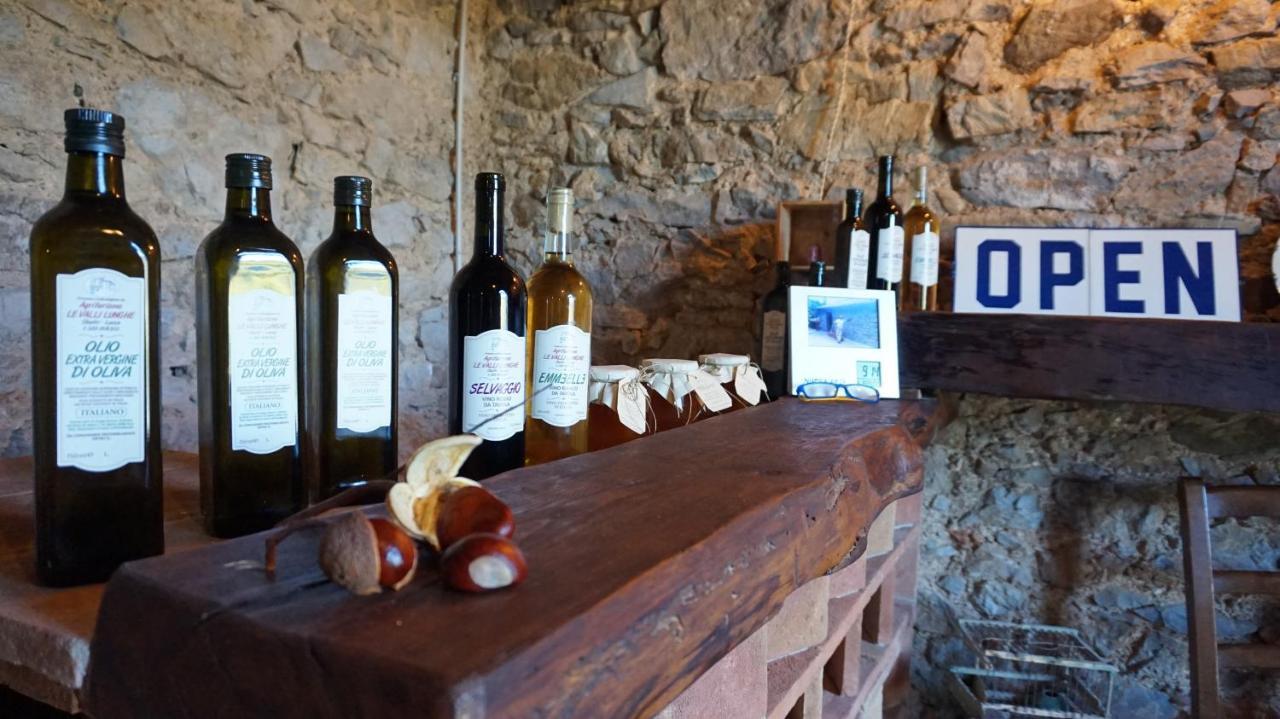 Agriturismo Le Vallilunghe Apartment Lucca Luaran gambar