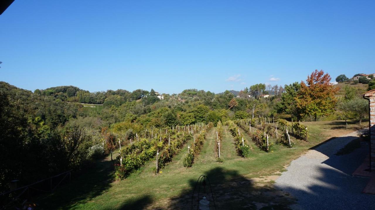 Agriturismo Le Vallilunghe Apartment Lucca Luaran gambar